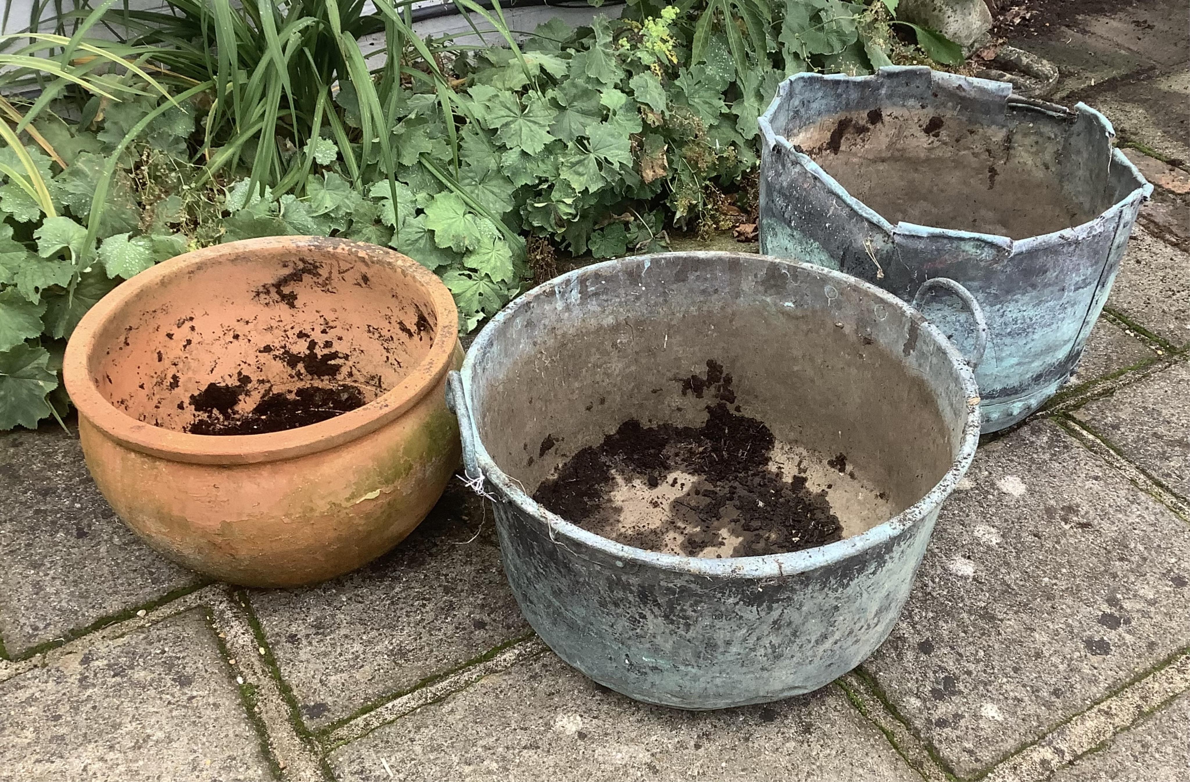 Two copper planters and one terracotta planter, planting removed, largest height 46cm. Condition - all weathered, copper copper - rim petalled